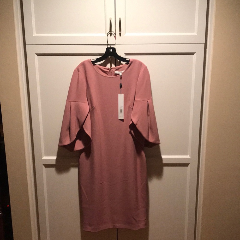 Elegant Pink Women's Dress